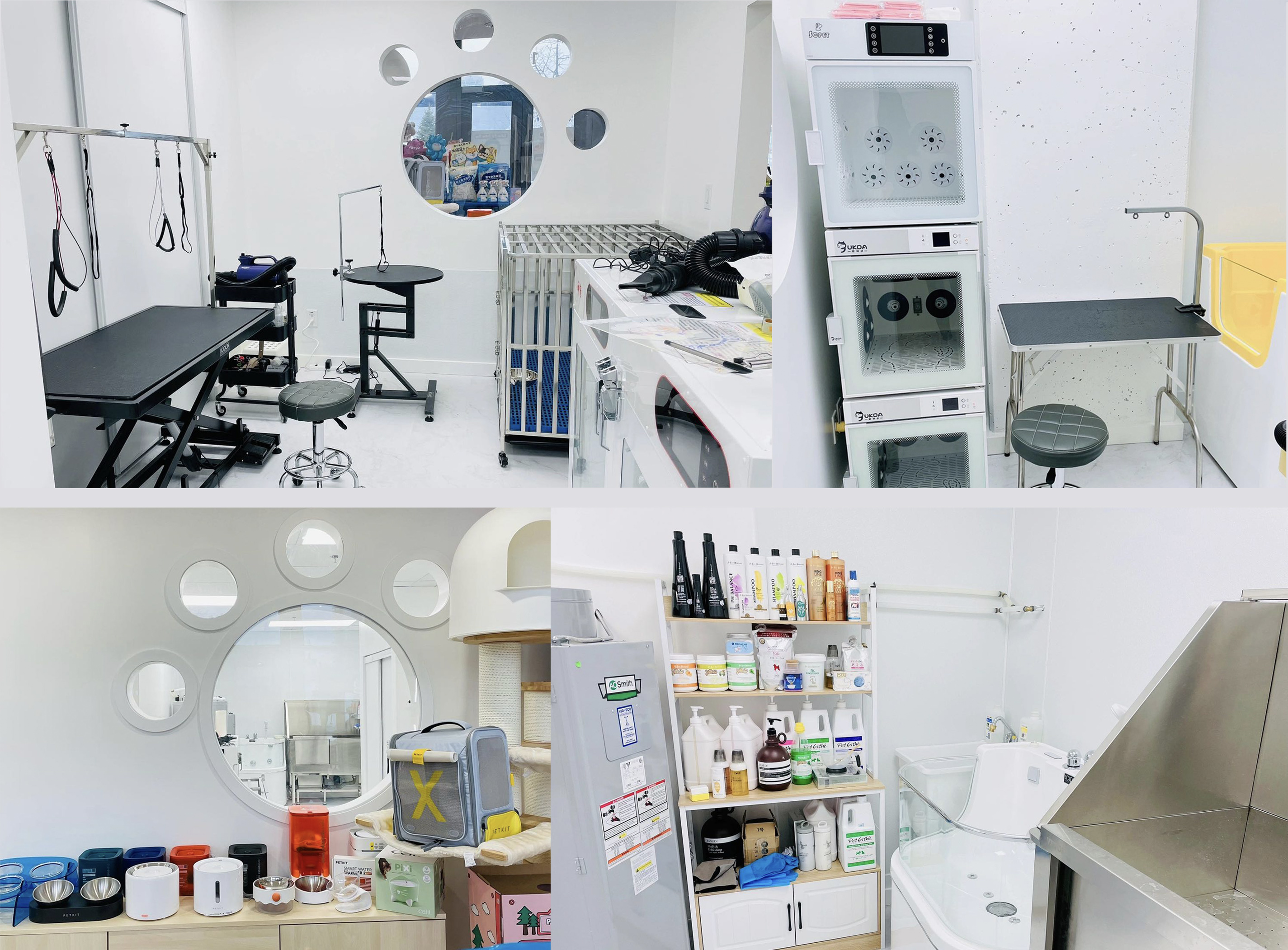 多倫多寶藏寵物品牌，毛小孩の鋪?zhàn)拥母咚僭鲩L之路