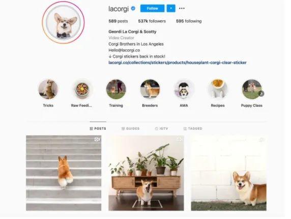 運營干貨 | 6個月內(nèi)，Instagram粉絲數(shù)如何從0漲到1萬？